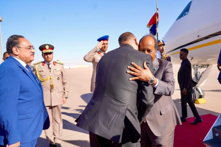 Madaxweyne Xasan Sheekh oo Lagu Soo Dhaweeyay Magaalada Qaahira ee Dalka Masar