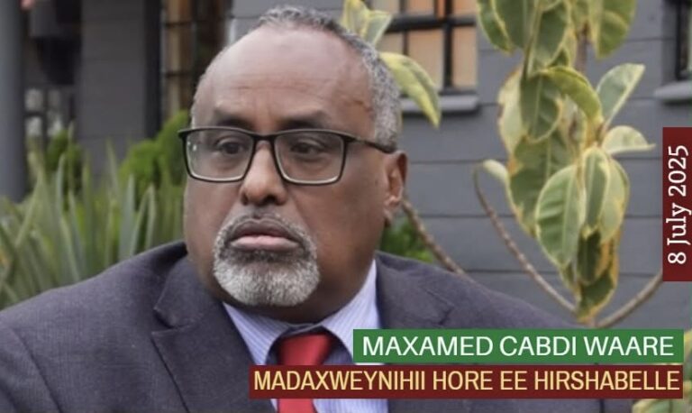 Maxamed Cabdi Waare – Ku-xigeenka Xoghayaha Guud ee IGAD: “Waxaa noo caddaatay inuusan dagaalka argagixisada Alshabaab ahayn mudnaanta koowaad ee dowladda Soomaaliya”