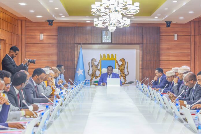 539922151_1128901506005661_5137861992809984560_n