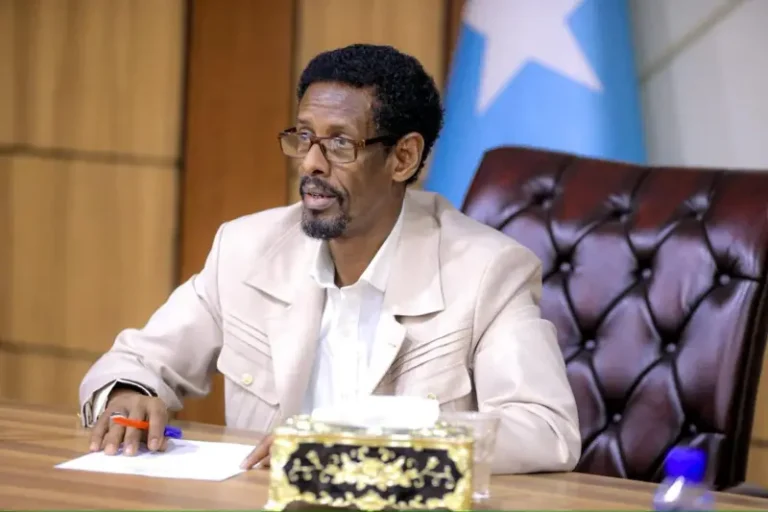 Jubbaland blames Egypt and Eritrea for the ongoing conflict in Gedo.