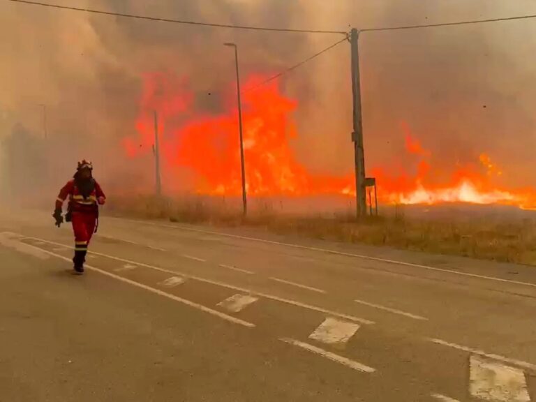 Wildfires rage across southern Europe as temperatures top 40C