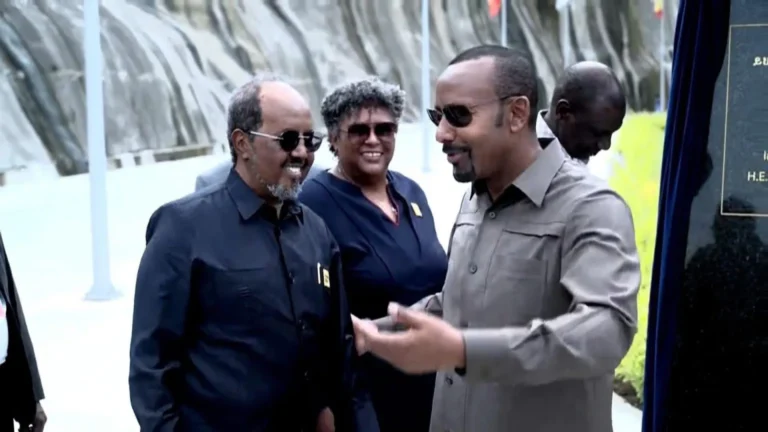 Madaxweynaha Soomaaliya Xasan Sheekh oo Ka Hadlay Furitaanka Biyaha Nile-ka Itoobiya, Kuna Baaqay Iskaashi Goboleed