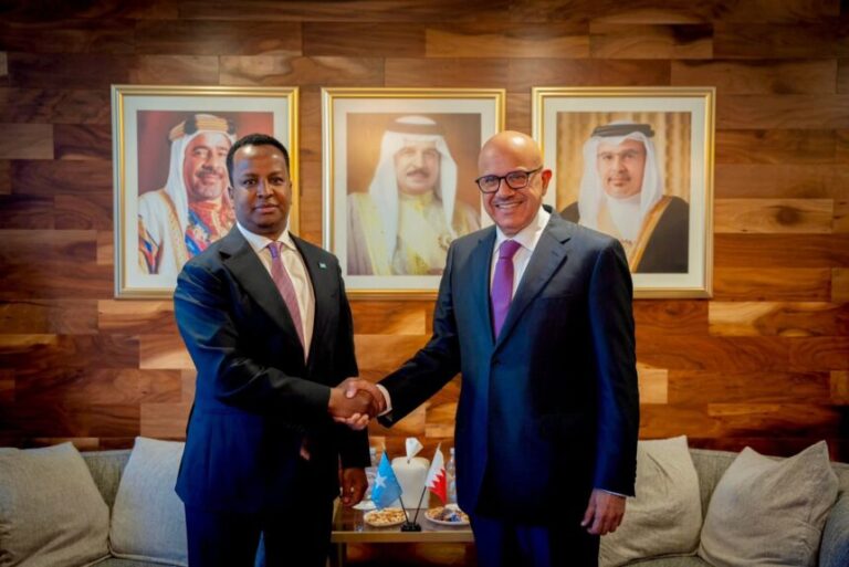 Somalia Discusses Bilateral Ties with Bahraini at UNGA 80th Session.