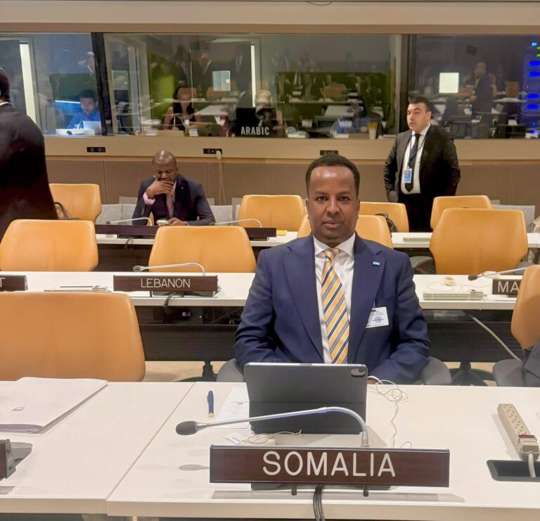 Somali Foreign Minister Participates in UN-LAS Cooperation Dialogue at 80th UNGA