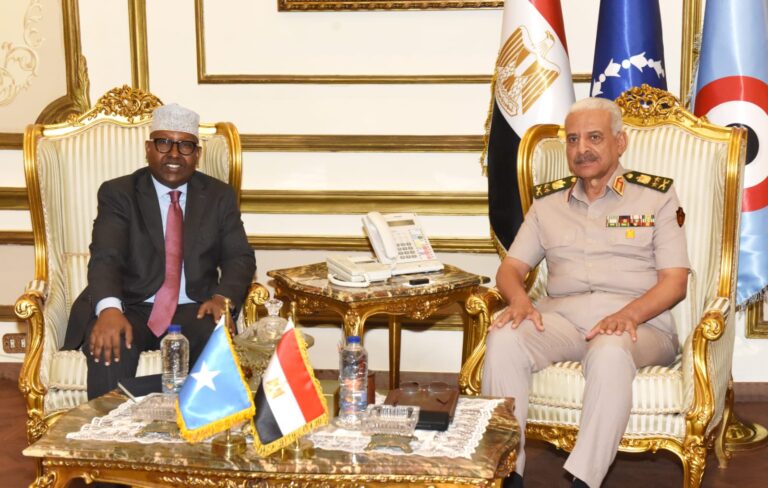 Somalia and Egypt Strengthen Military Ties in High-Level Defence Meeting in Cairo.