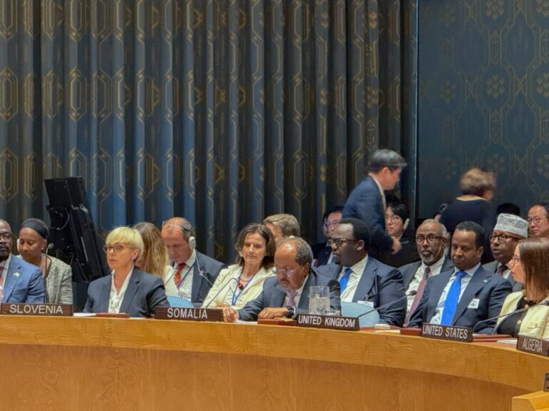 President Hassan Sheikh Mohamud Addresses the UN Security Council on Technology and Global Security