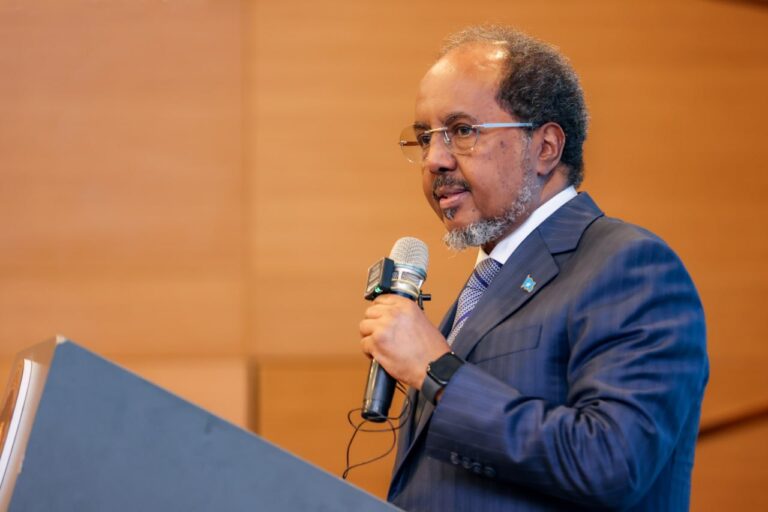 Somali President Calls for Stronger US-Somalia Economic Partnership