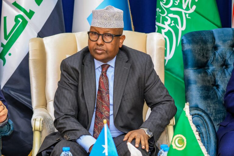 Somali Defence Minister Underscores Arabic as Cultural and Strategic Asset.