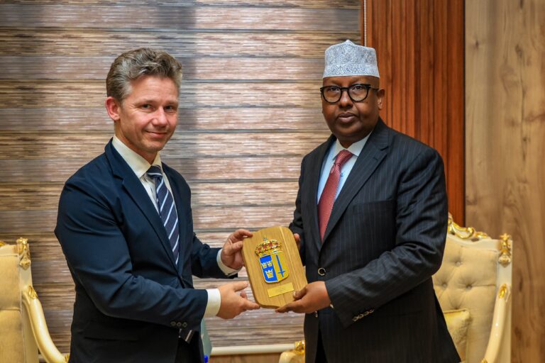 Defence Ministers of Somalia and Sweden Discuss Enhanced Security Partnership.