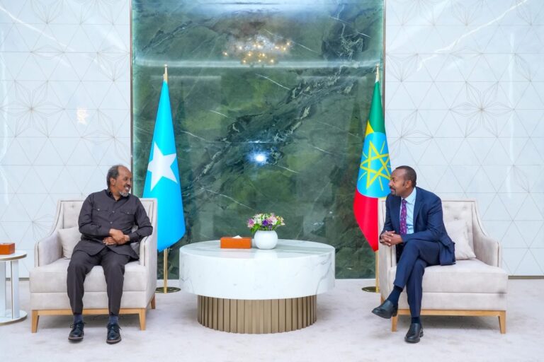 Somalia, Ethiopia Reaffirm Commitment to Cooperation and Sovereignty