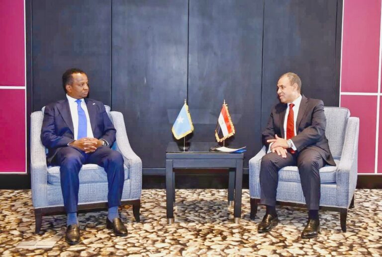 Somali and Egyptian Foreign Ministers Discuss Strengthening Bilateral Relations at Aswan Forum.