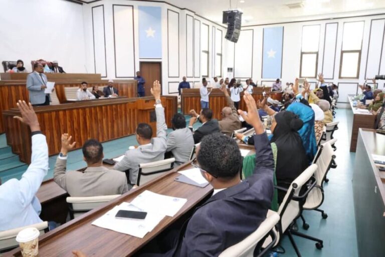 Somalia Establishes Independent Human Rights Commission.