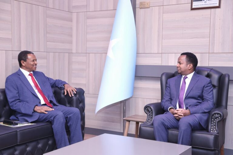Somali FM Discusses Coordination on Relief Operations with WFP Country Director