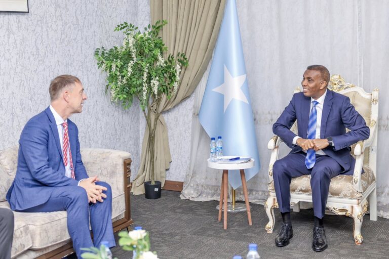 Somalia and Germany Discuss Security, Investment, and Economic Development.