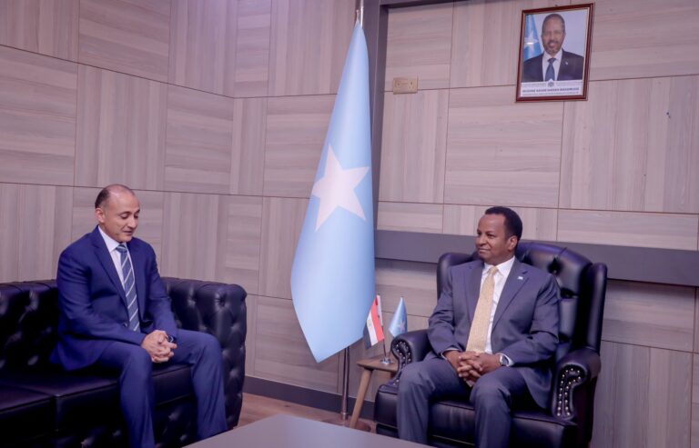 Somali Foreign Minister Receives Copy of Credentials from Newly Appointed Egyptian Ambassador